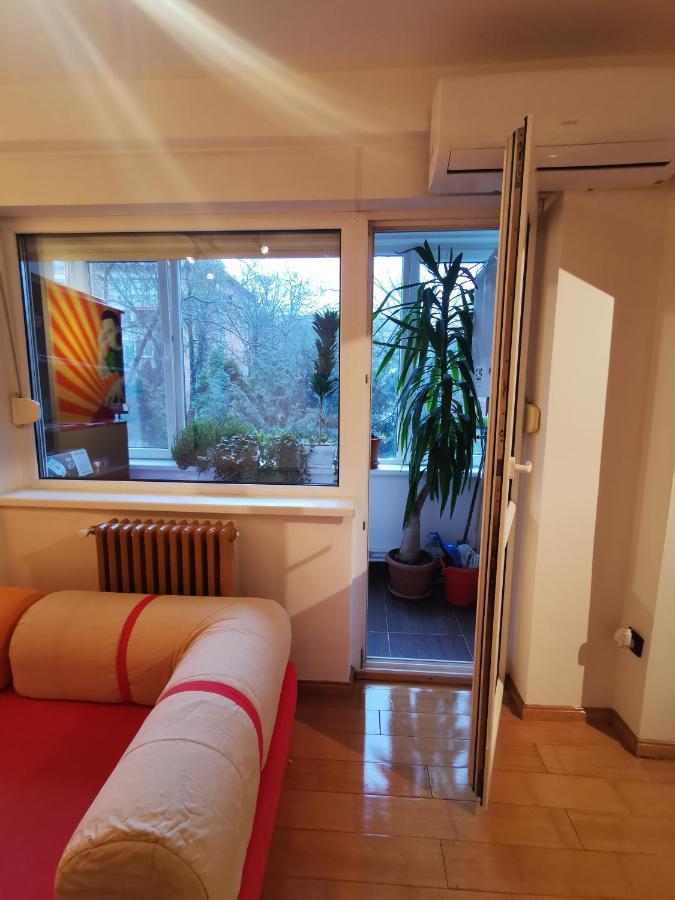 Comfy & Pleasant Apartment 10 Min Walk To Downtown Timisoara Exterior foto
