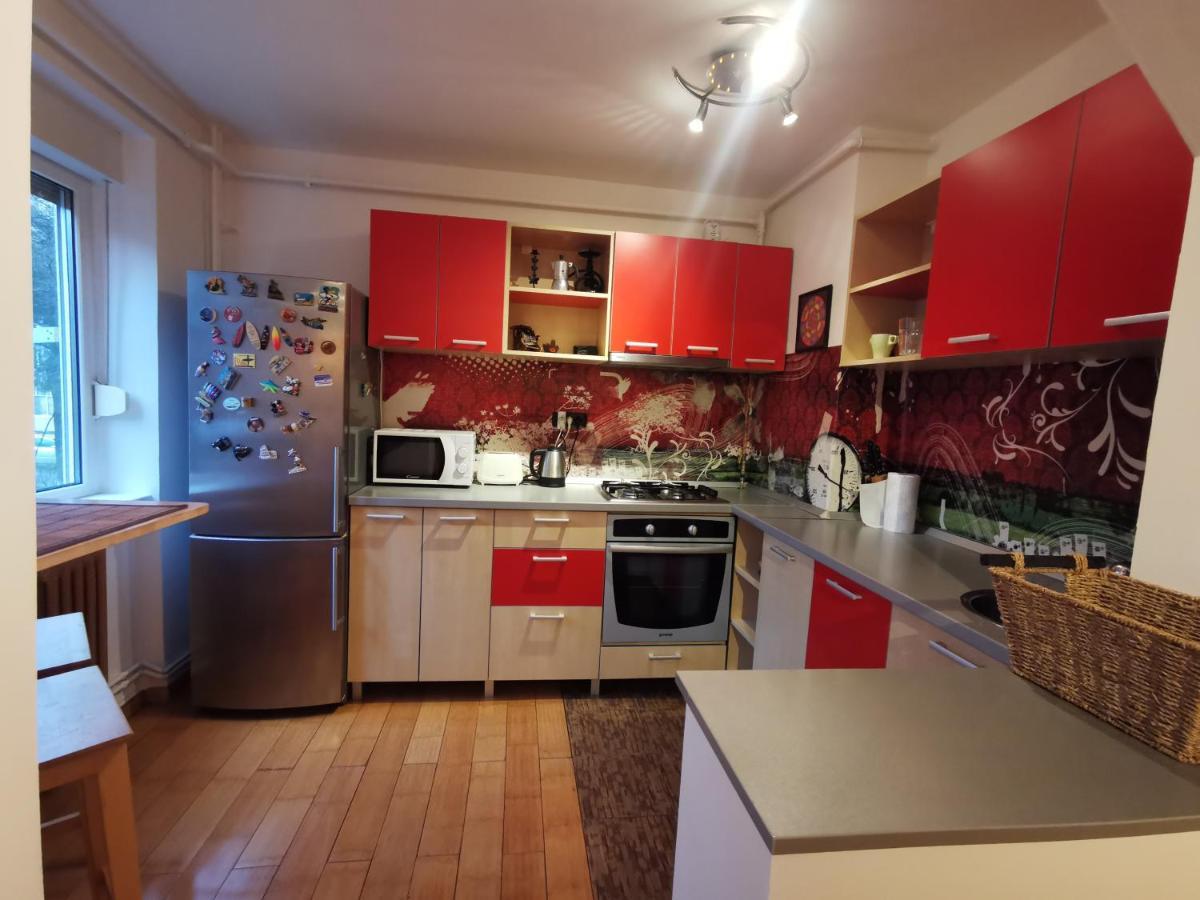 Comfy & Pleasant Apartment 10 Min Walk To Downtown Timisoara Exterior foto