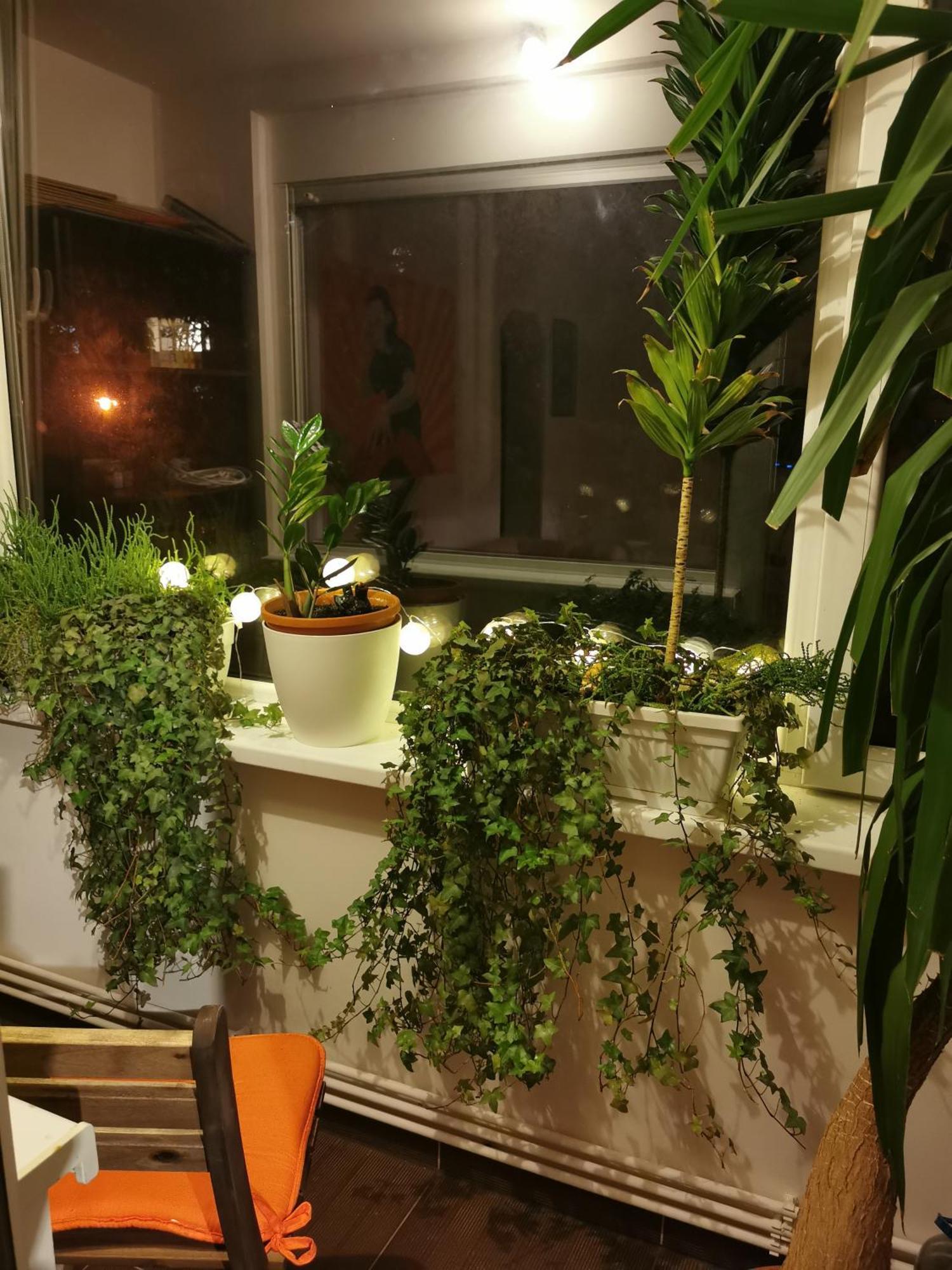 Comfy & Pleasant Apartment 10 Min Walk To Downtown Timisoara Exterior foto