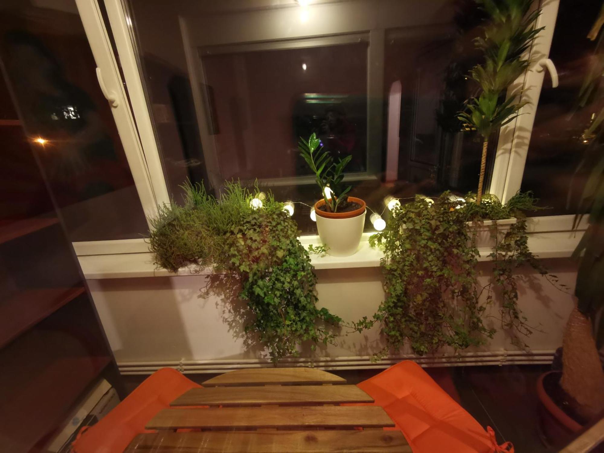 Comfy & Pleasant Apartment 10 Min Walk To Downtown Timisoara Exterior foto